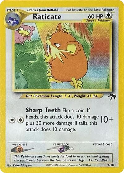 Raticate - Southern Islands
